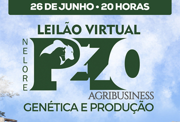 LEILÃO VIRTUAL NELORE PEZO AGRIBUSINESS - MATRIZES NELORE - DE OLHO NA FAZENDA DE 20 A 26/06