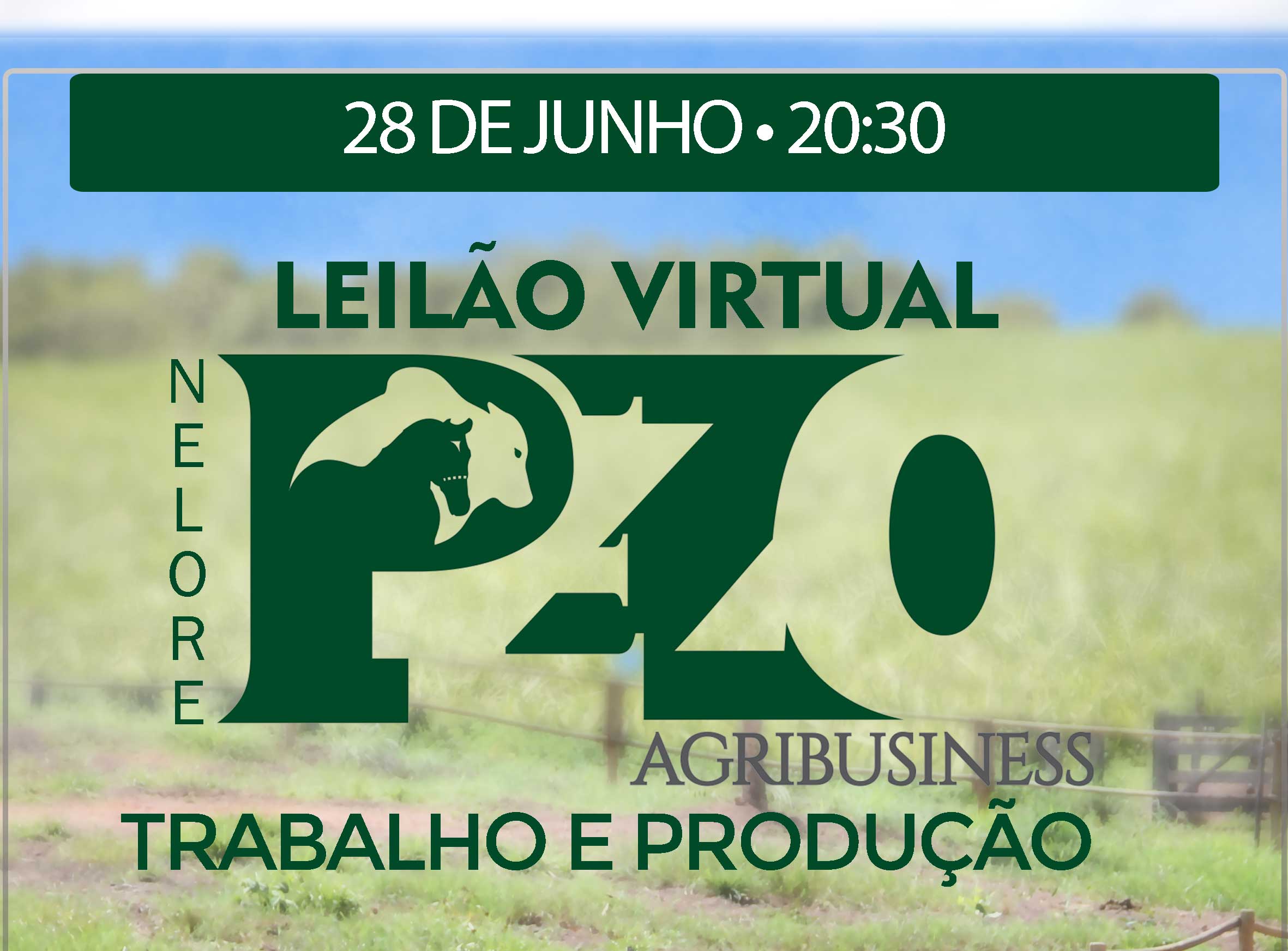 LEILÃO VIRTUAL NELORE PEZO AGRIBUSINESS - TROPA - DE OLHO NA FAZENDA DE 20 A 27/06