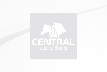 LEILÃO TOUROS CFM - EXPOGRANDE