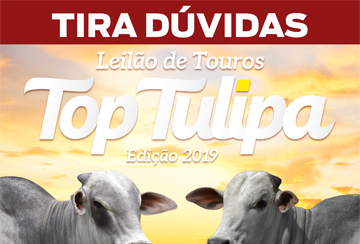 TIRA DÚVIDA - LEILÃO TOP TULIPA 2019