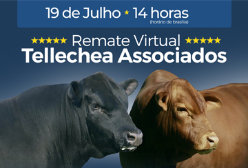 REMATE VIRTUAL TELLECHEA & ASSOCIADOS - DE OLHO NA FAZENDA DE 15/07 A 18/07