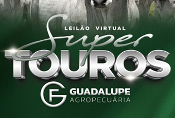 LEILÃO VIRTUAL SUPER TOUROS GUADALUPE AGROPECUÁRIA