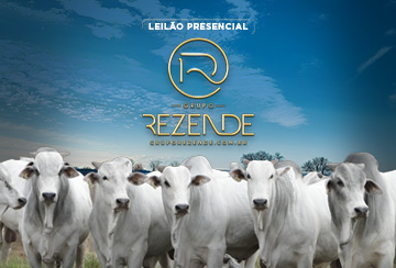 LEILÃO PRESENCIAL TOUROS GRUPO REZENDE