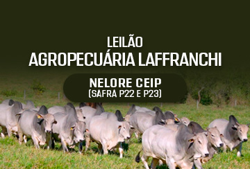 LEILÃO AGROPECUÁRIA LAFFRANCHI