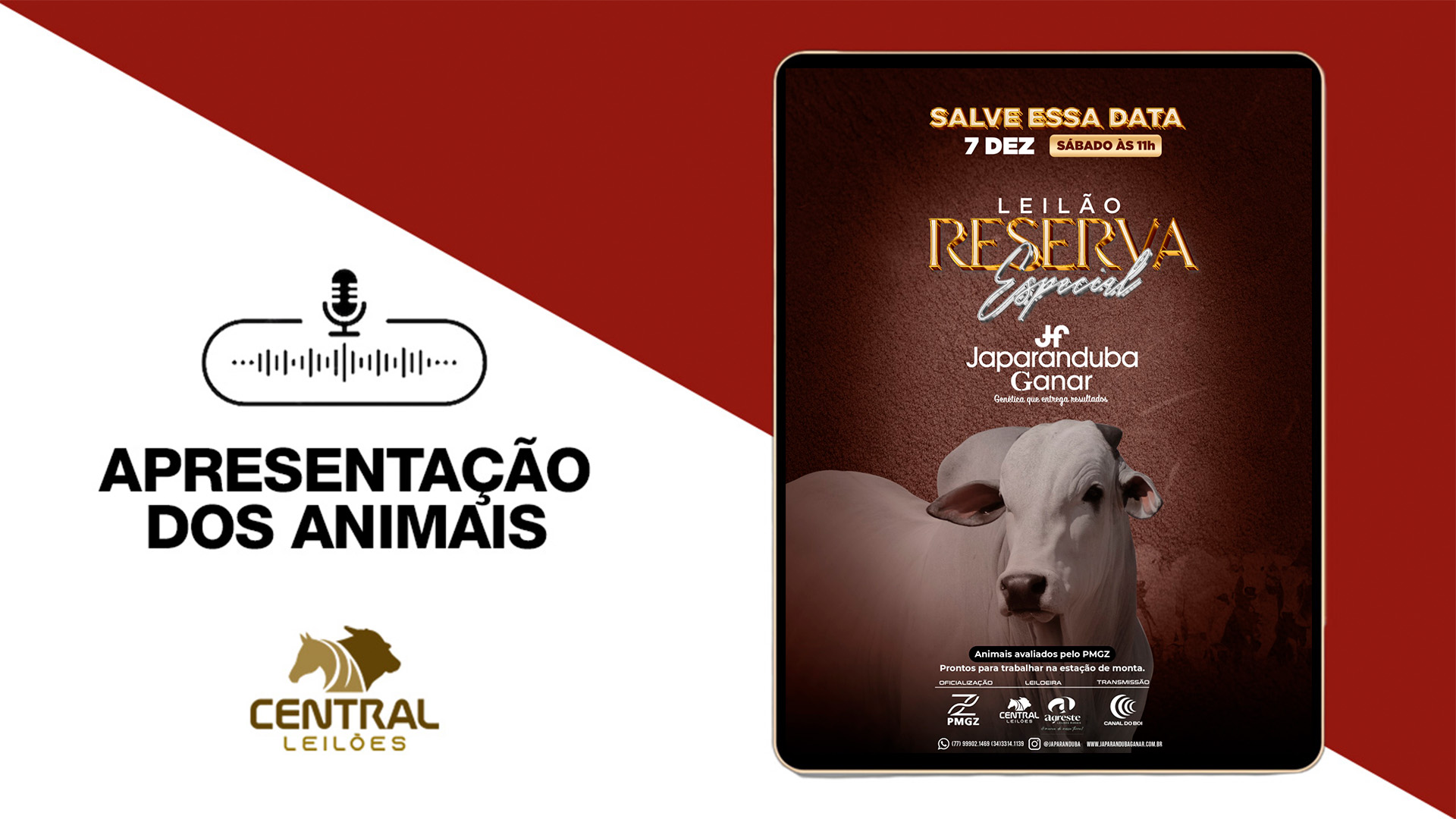 APRESENTAÇÃO DOS ANIMAIS - LEILÃO RESERVA ESPECIAL JAPARANDUBA GANAR