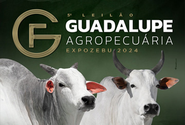 5º LEILÃO GUADALUPE AGROPECUÁRIA - EXPOZEBU 2024