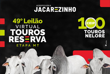 49º LEILÃO VIRTUAL TOUROS RESERVA ETAPA MT - AGROPECUÁRIA JACAREZINHO