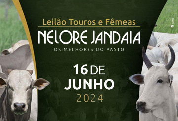 LEILÃO NELORE JANDAIA - FÊMEAS