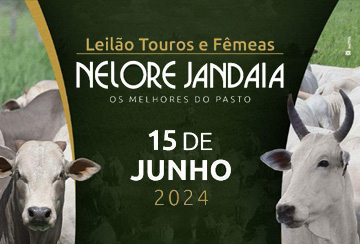LEILÃO NELORE JANDAIA - TOUROS