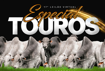 17º LEILÃO VIRTUAL ESPECIAL TOUROS