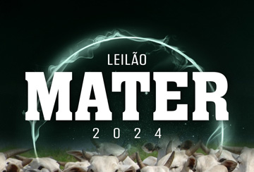 LEILÃO MATER 2024