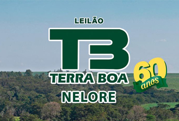 LEILÃO TERRA BOA