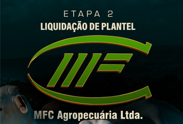 LEILÃO LIQUIDAÇÃO MFC AGROPECUÁRIA - ETAPA 2