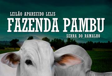 LEILÃO APARECIDO LELIS FAZENDA PAMBU - SERRA DO RAMALHO