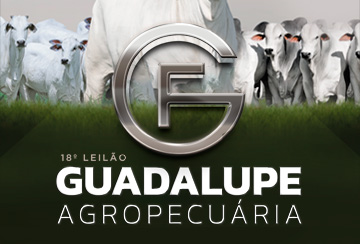 LEILÃO TOUROS GUADALUPE AGROPECUÁRIA