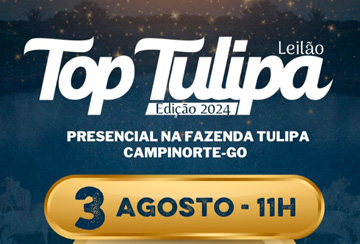 LEILÃO TOP TULIPA 2024