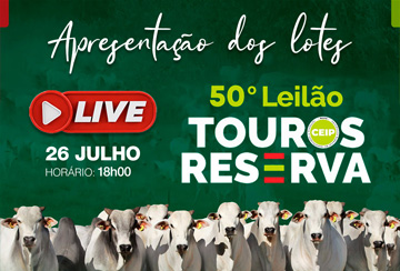 LIVE APRESENTAÇÃO DOS LOTES - 50º LEILÃO TOUROS RESERVA AGROPECUÁRIA JACAREZINHO