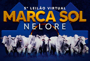 5º LEILÃO VIRTUAL MARCA SOL NELORE