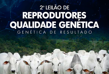 2º LEILÃO DE REPRODUTORES QUALIDADE GENÉTICA