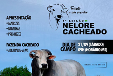 DIA DE CAMPO - 1º LEILÃO NELORE CACHEADO