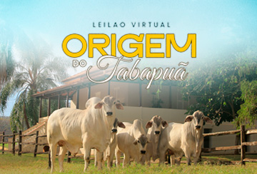 LEILÃO VIRTUAL ORIGEM DO TABAPUÃ - FAZENDA ÁGUA MILAGROSA