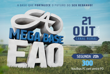 LEILÃO VIRTUAL MEGA BASE EAO - 2ª ETAPA