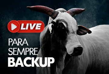 LIVE - PARA SEMPRE BACKUP