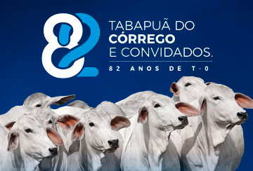 LEILÃO TABAPUÃ DO CÓRREGO E CONVIDADOS - 82 ANOS DE T-O