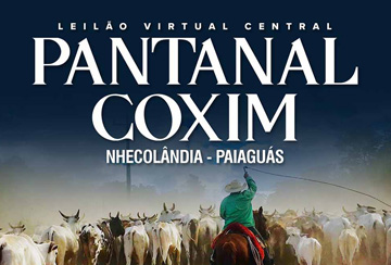 LEILÃO VIRTUAL CENTRAL PANTANAL COXIM