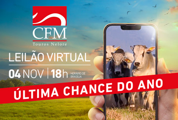 LEILÃO VIRTUAL CFM