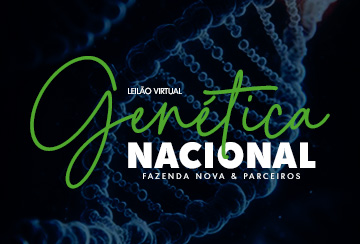 LEILÃO VIRTUAL GENÉTICA NACIONAL FAZENDA NOVA & PARCEIROS - ETAPA TABAPUÃ