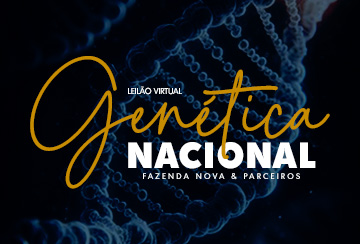 LEILÃO VIRTUAL GENÉTICA NACIONAL FAZENDA NOVA & PARCEIROS - ETAPA NELORE