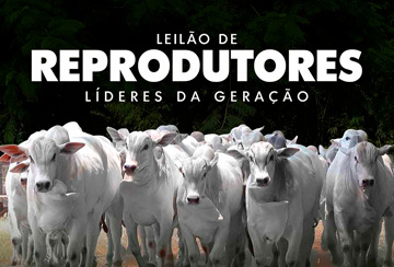 LEILÃO DE REPRODUTORES LÍDERES DA GERAÇÃO