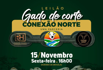 LEILÃO GADO DE CORTE CONEXÃO NORTE - FAZENDA MODELO E PRIME BEEF