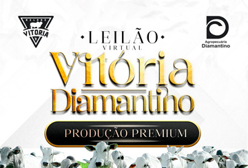 LEILÃO VIRTUAL VITÓRIA DIAMANTINO PRODUÇÃO PREMIUM