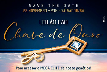 LEILÃO EAO CHAVE DE OURO