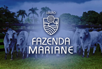 LEILÃO FAZENDA MARIANE