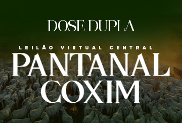 LEILÃO VIRTUAL CENTRAL PANTANAL COXIM