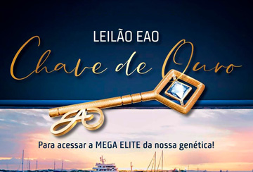 LEILÃO EAO CHAVE DE OURO