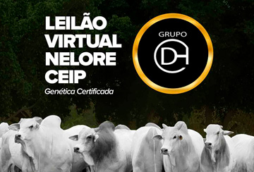 LEILÃO VIRTUAL NELORE CEIP GRUPO DH AGROPECUÁRIA