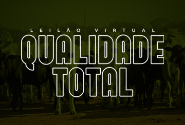 LEILÃO VIRTUAL QUALIDADE TOTAL