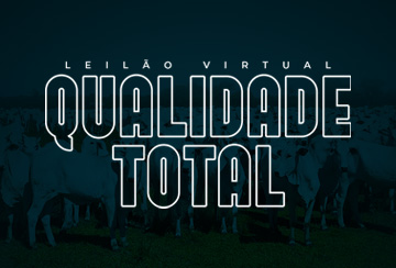 LEILÃO VIRTUAL QUALIDADE TOTAL