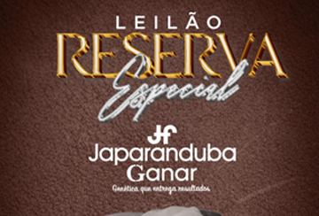 LEILÃO RESERVA ESPECIAL JAPARANDUBA GANAR