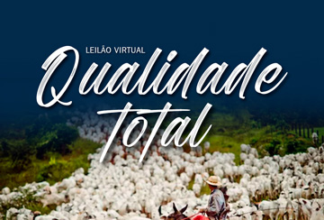 LEILÃO VIRTUAL QUALIDADE TOTAL