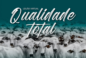 LEILÃO VIRTUAL QUALIDADE TOTAL