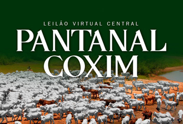 LEILÃO VIRTUAL CENTRAL PANTANAL COXIM