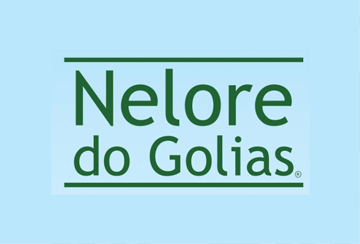 LEILÃO NELORE DO GOLIAS