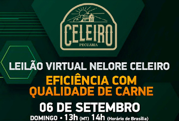 LEILÃO VIRTUAL NELORE CELEIRO