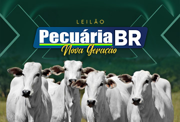 LEILÃO PECUÁRIA BR NOVA GERAÇÃO - NOVILHAS PRENHES