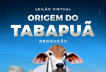 LEILÃO VIRTUAL ORIGEM DO TABAPUÃ - PRODUÇÃO